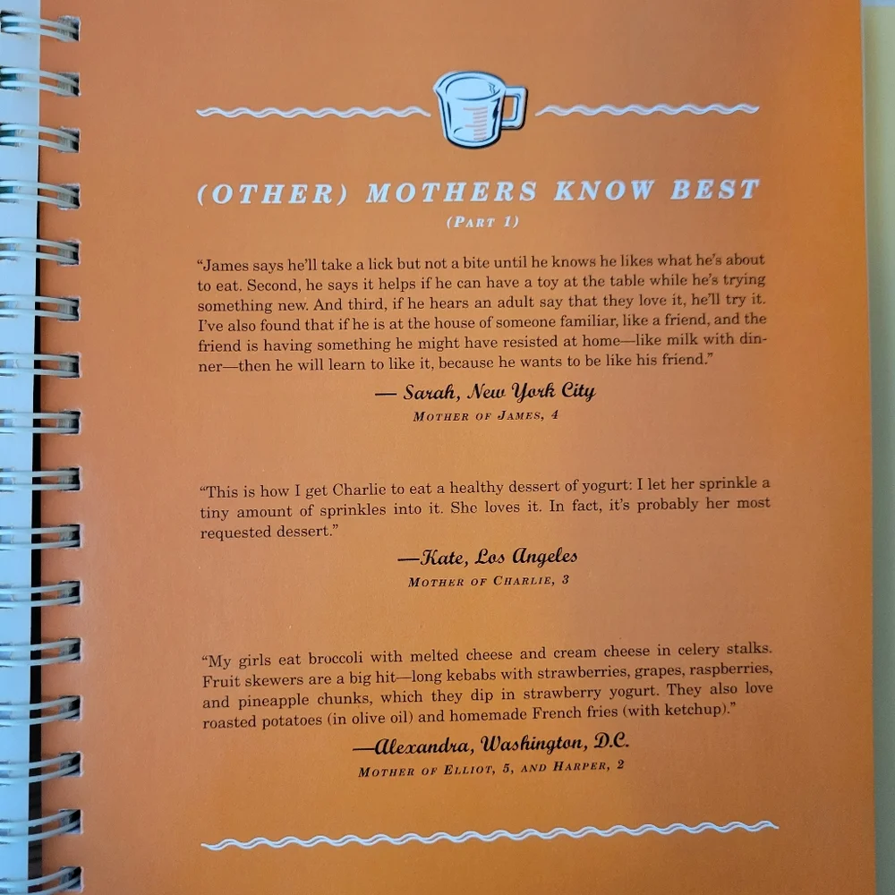 Deceptively Delicious Cookbook ~ Jessica Seinfeld ~ Kid's Menus ~ VGUC ~ FINAL